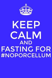 Keep Calm and fasting for noporcellum