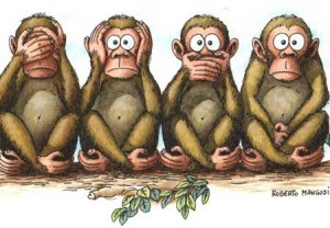 scimmie politica pd